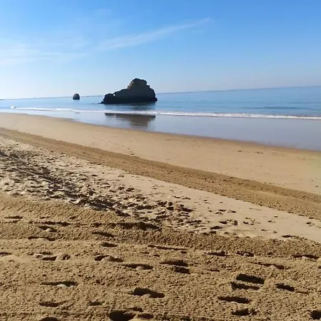 T1 Praia Da Rocha With Amazing Sea View Portimao
